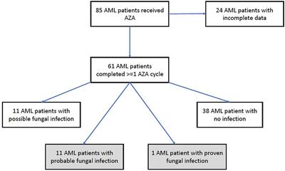 High rate of invasive fungal infections during early cycles of azacitidine for patients with acute myeloid leukemia